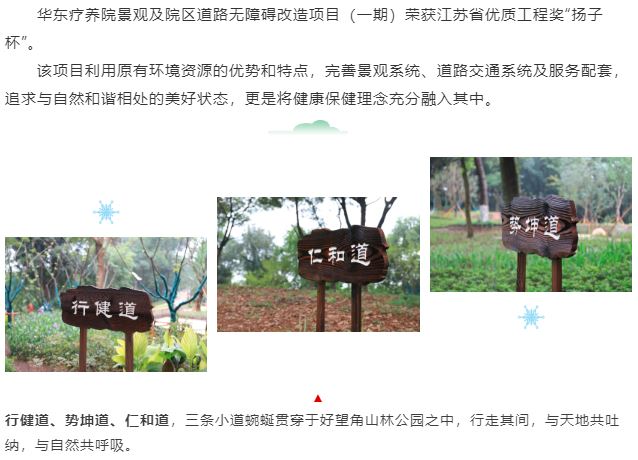 我院景观及院区道路无障碍改造项目（一期）荣获江苏省优质工程奖